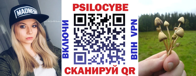 Купить  Омск  Псилоцибиновые грибы Cubensis